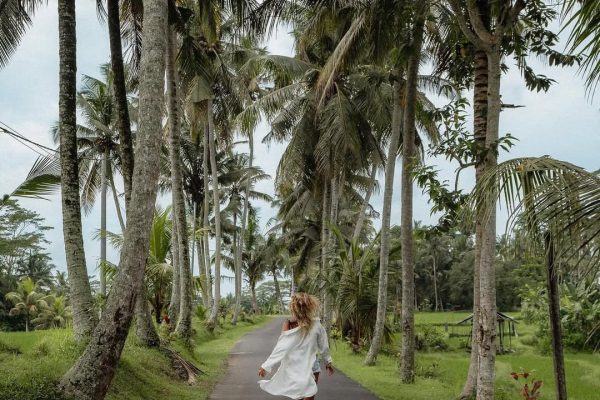 WhatsApp Image 2025-05-24 at 19.03.18 (4)