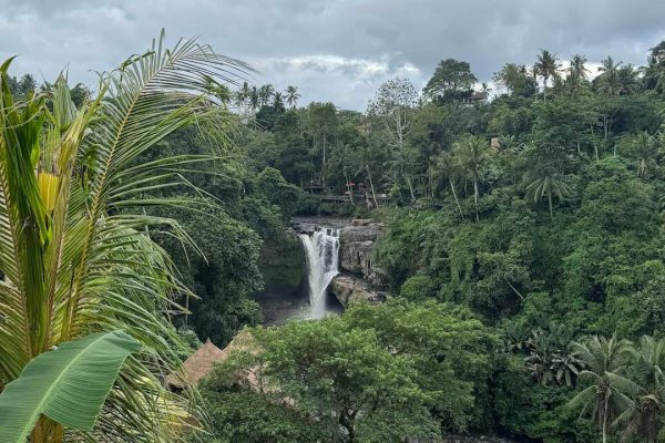 WhatsApp Image 2025-05-24 at 21.15.54 (4)