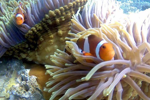 WhatsApp Image 2025-05-24 at 22.13.12 (2)