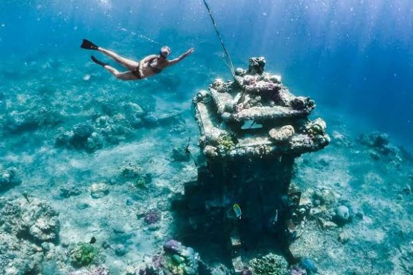 WhatsApp Image 2025-05-24 at 22.13.12