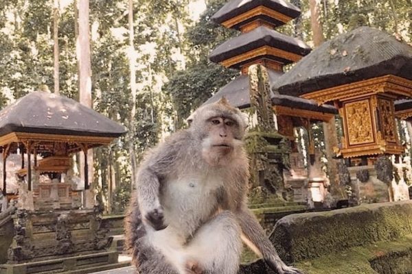 WhatsApp Image 2025-05-26 at 09.13.31 (3)