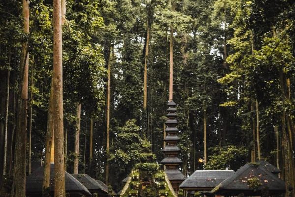 WhatsApp Image 2025-05-26 at 09.13.31